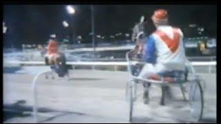 Harness Racing,Harold Park-1986 (With A Bit Of Luck-Chris Gleeson)