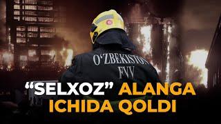 “SELXOZ” ALANGA ICHIDA QOLDI