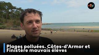 Plages polluées. Côtes-d'Armor et Finistère mauvais élèves