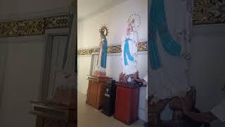 blessed virgen mama mary #shortsvideo #asmrsound #churchlife #churchservice #viralvideo #mass