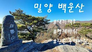 밀양 백운산 명품소나무와 백호바위/형제바위/혓바닥바위/왼손주먹바위 /돛대바위 2023-11-13