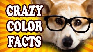 Top 10 Illuminating Facts About Color — TopTenzNet