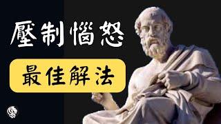 柏拉圖哲學語錄｜適合每個人的生活指南｜要仁慈，你所遇見的每個人都在打一場艱難的仗