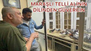 KAHRAMAN MARAŞ TA TELLİ ALİYİ BİLMEYEN YOK   İNSANLARI BİLE KUŞ DİYE ANLATIYOR. ALLAHINI SEVDİĞİM