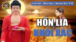 Nhà Khoa Học tìm hiểu về hiện tượng Hồn Lìa Khỏi Xác | Nhân Quả - Luân Hồi - Nghiệp Báo - phần 30