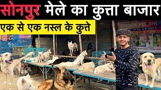 Sonpur mela dog market 2024 All dogs breed And price in details.