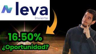 LEVA: ¿Riesgo u Oportunidad?  [Revisemos sus números]