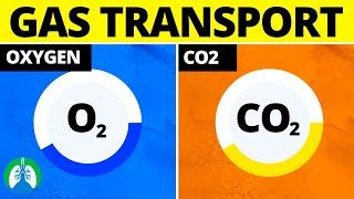 Transport of Oxygen and Carbon Dioxide (Quick Medical Overview)