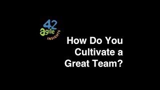 agile42 Insights: How Do You Cultivate a Great Team?