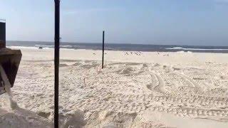 Beach Volleyball Poles Setup for NCAA Beach Volleyball Championship | Sports Imports