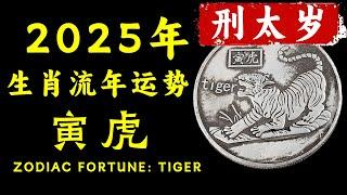 2025属虎运势全揭秘：详解生肖虎全年运程，从整体运势、刑太岁影响到事业、财运、感情的全面化解之道，破解命理困惑，提升运势