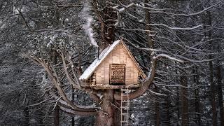 Building Cozy Bushcraft Treehouse Shelter for surviving a freezing Winter | pt.2