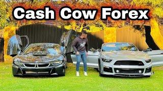 The Best Of Cash Cow Forex  - Trading Lifestyle Motivation  South African Forex Traders Lifestyle