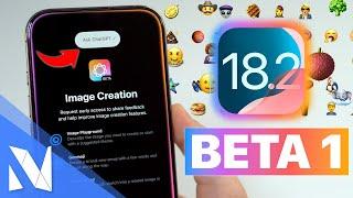 iOS 18.2 Beta 1 - Was ist neu? (Genmoji, ChatGPT, Visual Intelligence & mehr!) | Nils-Hendrik Welk