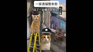 一家造福整条街  #猫meme #cat #迷恋  #猫meme小剧场 #funny #萌宠  #meme #貓 #pets  #萌寵 #猫meme小剧场 #真实事件