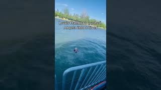 Lewis Hamilton Pushed Angela Into A River