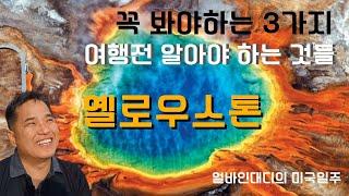 옐로우스톤 여행 전에 반드시 알아야할 것 들과 꼭 방문해야 할 장소들, 옐로스톤 어떻게 여행할 것인가에 대한 정보들!!