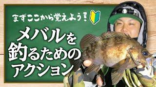 【初心者釣り教室】投げて巻くだけで釣れる？！メバルの釣り方について徹底解説します。