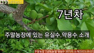 주말농장 유실수 30종류 소개,  농장운영 7년차가 농장에서 가꾸고 있는 유실수와 약용수를 소개합니다