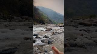 ️️#nature #naturevideo #peace #river #lifeisgood