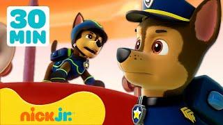 Paw Patrol - La Squadra dei Cuccioli | I migliori salvataggi di animali di Chase! | Nick Jr. Italia