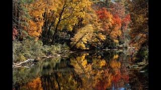 A Fall Journey on the Blue Ridge Parkway October 2023