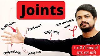 Joints of the human body anatomy and physiology | Types | Locomotion and movement | Hindi