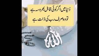 True 100%