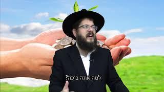 הדרך להגיע אל האושר - הרב שניאור אשכנזי