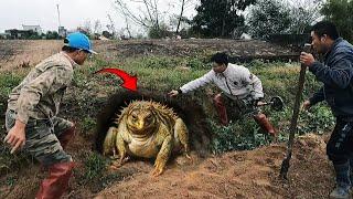 These Strange Creatures Were Actually Caught By the Explorers!