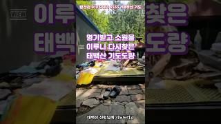 태백산 기도 도량 # 명기받고 소원을 이루니 다시찾은 태백산 기도도량 # 용한점집#용한신점#용한무당#양천구점집#진짜무당#용한신점