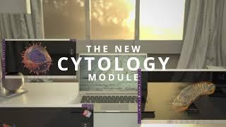 Cytology Module - Athena Hub