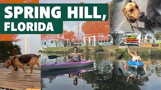 Trip to Spring Hill, Florida with your Dog | Pet friendly vacation idea