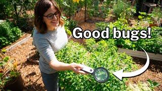 Organic PEST CONTROL that really WORKS!