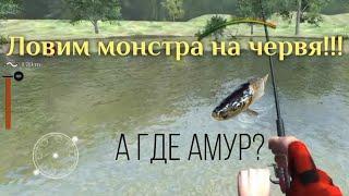 Ultimate Fishing Simulator | Ловля трофейного угря и не только | В поисках амура | Сент-Дод