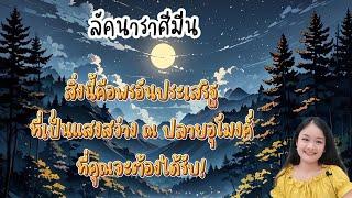 ราศีมีนแสงสว่าง ณ ปลายอุโมงค์ที่คุณจะได้รับ(ไพ่มีผลใน 3 เดือน)🪬‍️‍🪄