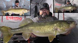 We found the BIG WALLEYE! | Merry Christmas to EVERYONE!