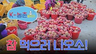 [K-Rural announcement] Let's go eat an apple at Andong Station when it first snows.|Ep.1 #K_content