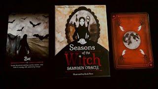 Meet the Seasons of the Witch Samhain Oracle & Samhain Journal