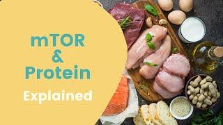 mTOR protein MYSTERY unraveled | How to Live Longer and Look Younger