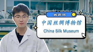 参观中国丝绸博物馆 Tour to China Silk Museum