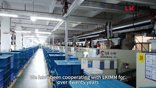 Client Success Story in Toys Industry | LKIMM