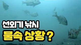 물속을 보면서 낚시한다면..