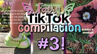 Fairy TikTok compilation #3! Fairy Fairytok