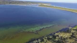 Droning Wallagoot NSW