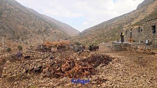 IRAN nomadic life | Exciting narratives of summer rain among Iranian mountain nomads️