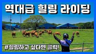 오토바이 타고 제주도 여행 | 진또배기 힐링 라이딩 | 언더본 커스텀