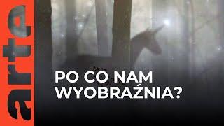 Do czego służy wyobraźnia? | ARTE.tv Dokumenty [LEKTOR]