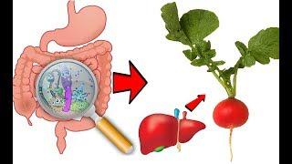 پاکسازی کبد و روده ها با این مواد غذایی