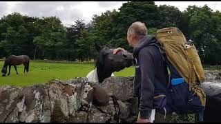 Suke the Horse Whisperer